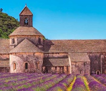 abbaye de senanque